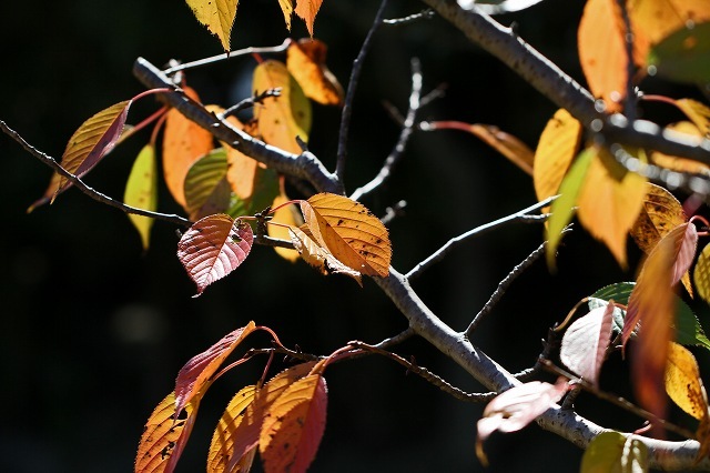 a0242438_21280896.jpg
