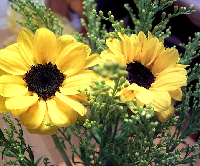 b0364938_11433417.jpg
