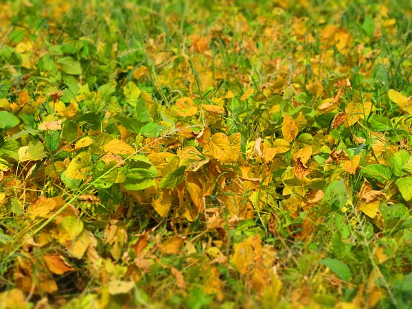 b0341140_20185066.jpg