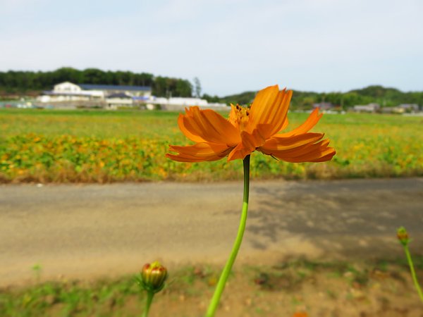 b0341140_2020236.jpg