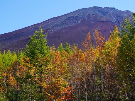 c0057946_22185413.jpg