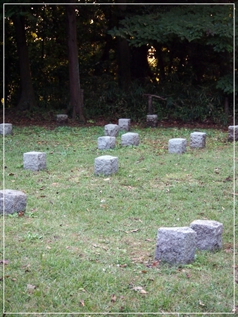 d0013149_00404434.jpg