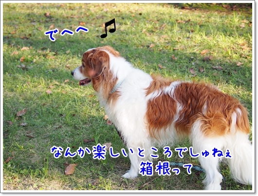 d0013149_00414173.jpg