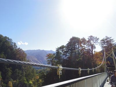 b0220251_6164717.jpg
