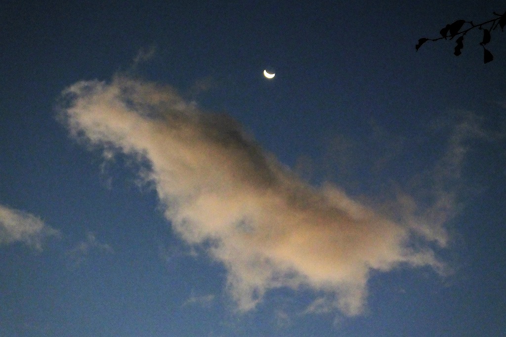 b0236251_13553620.jpg
