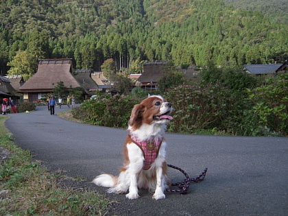 f0122853_19362699.jpg