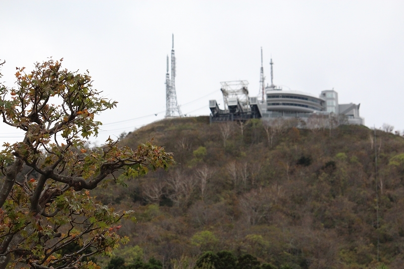 b0250154_22065980.jpg