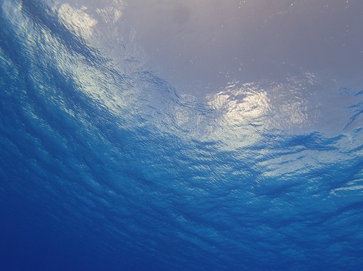 e0132965_2272490.jpg