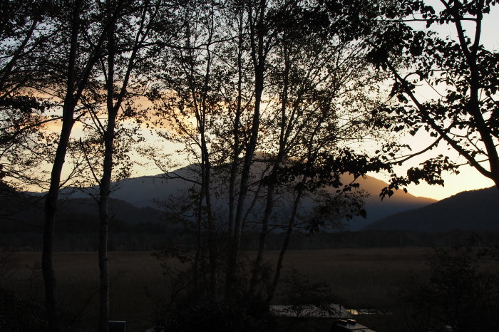 e0307372_21345616.jpg