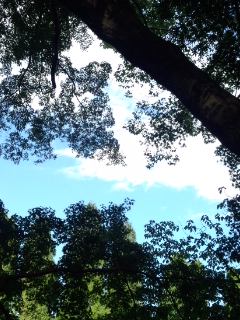f0112873_2158995.jpg