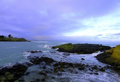 a0315876_12513011.png