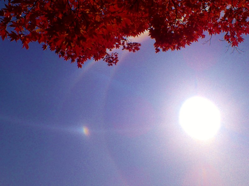 c0183777_17573632.jpg