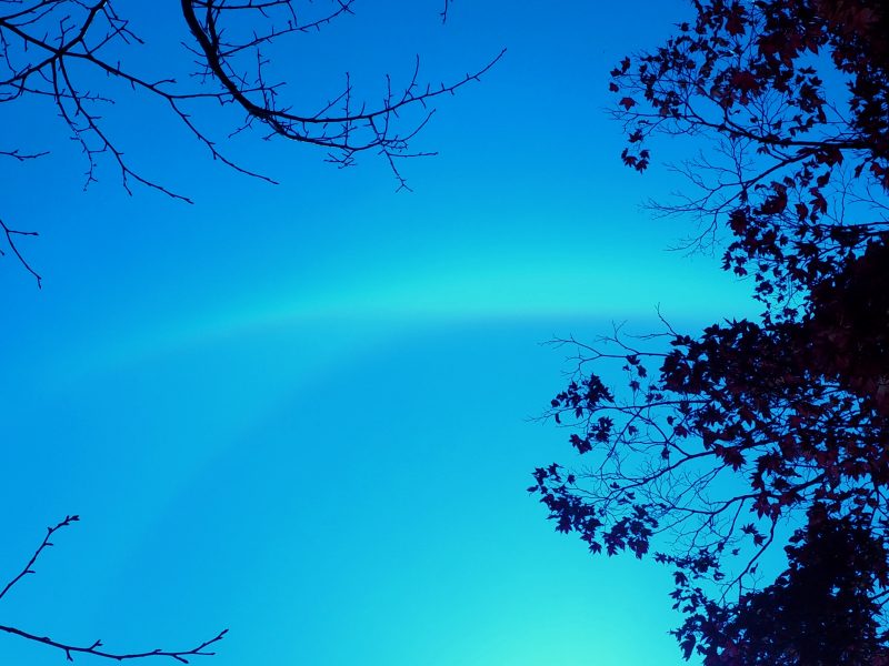 c0183777_1757582.jpg