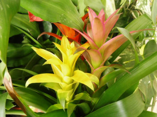 e0046477_22115098.jpg