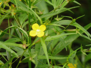 e0046477_22151859.jpg