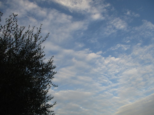 d0333091_18314512.jpg