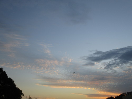 d0333091_1954669.jpg