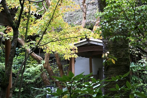 a0222494_11043261.jpg