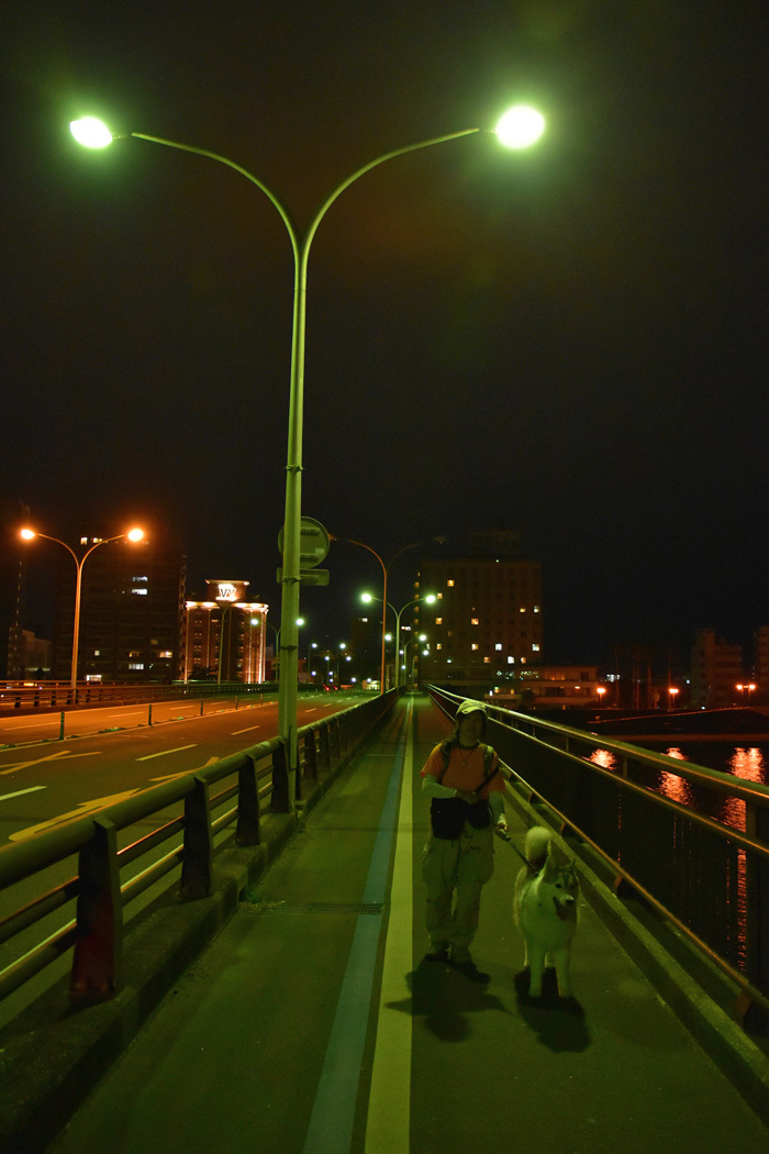 c0049299_22360493.jpg