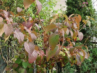 f0325309_17202891.jpg