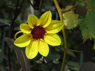 f0325309_17210385.jpg
