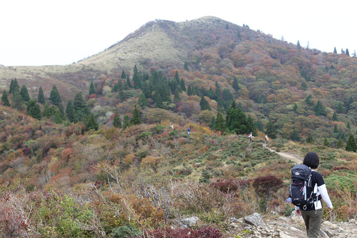 e0077010_22574629.jpg