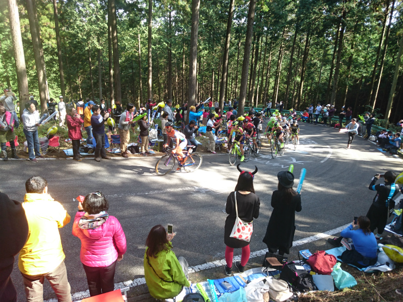 f0100911_21333117.jpg