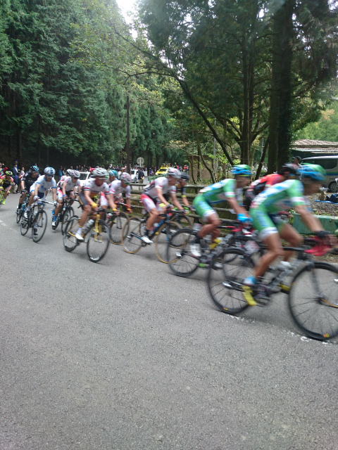 f0100911_2136178.jpg