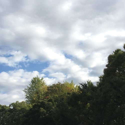 c0131818_18291408.jpg
