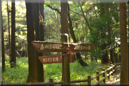 f0363141_10144869.jpg