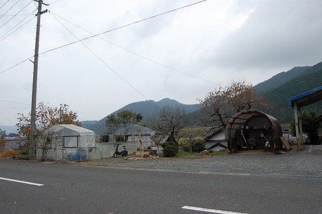 b0082242_17392382.jpg