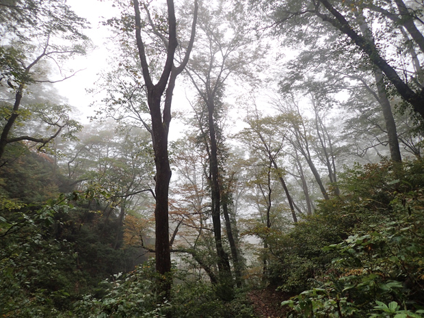 f0214649_4152810.jpg