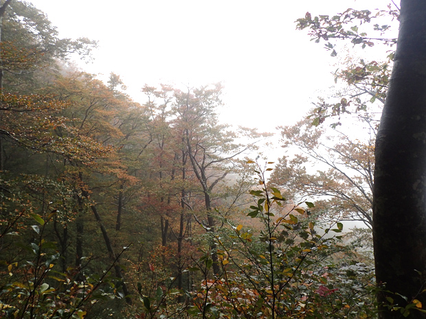f0214649_4155168.jpg