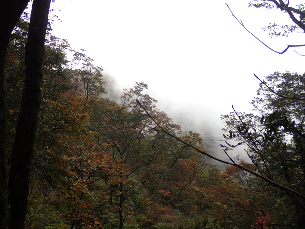 f0214649_416201.jpg