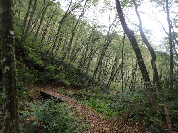 f0214649_4173755.jpg