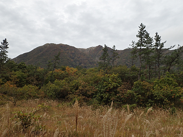 f0214649_425424.jpg