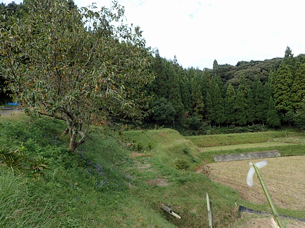 f0214649_440334.jpg
