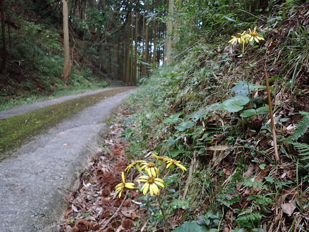 f0214649_4422514.jpg