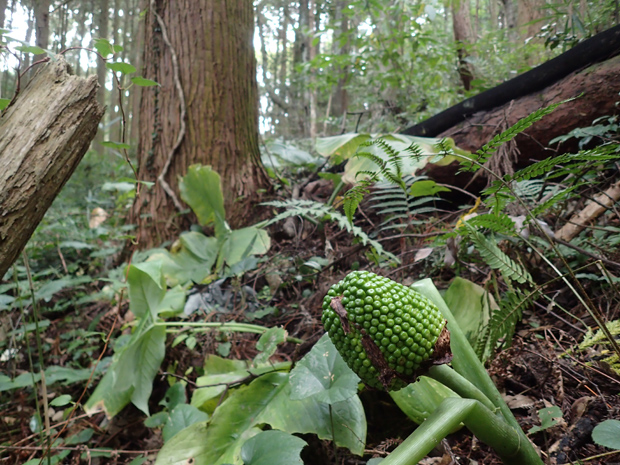 f0214649_443168.jpg