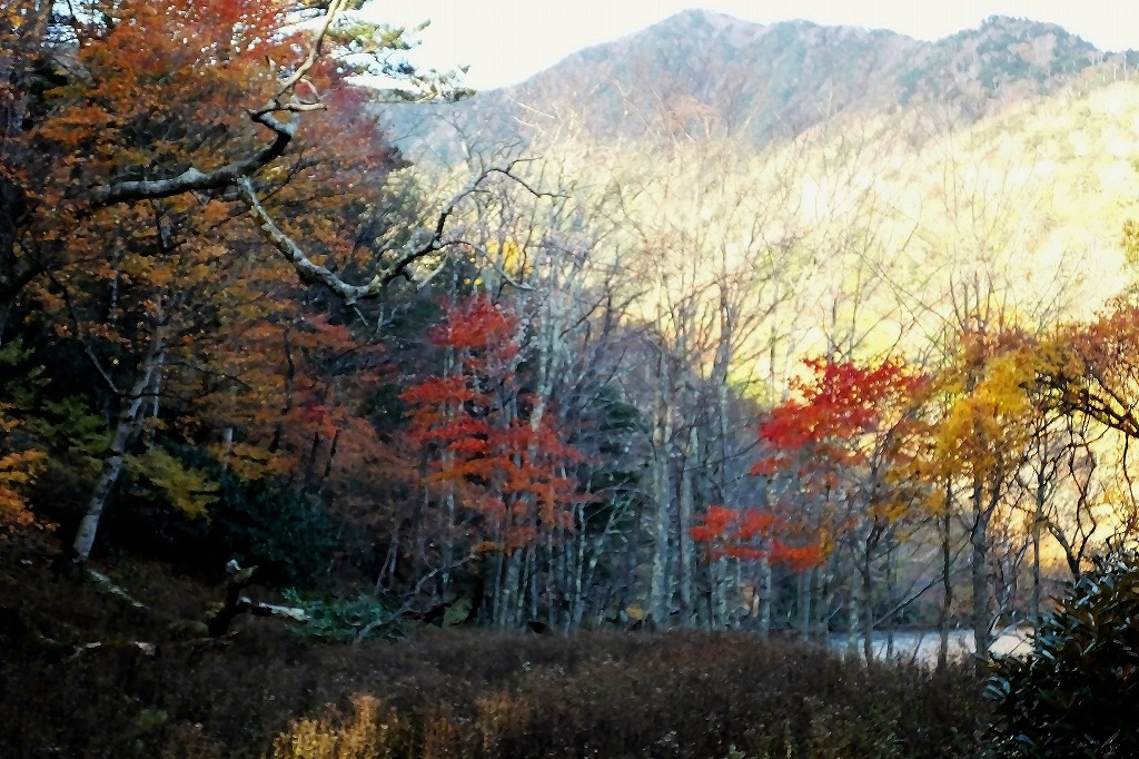b0236251_1111121.jpg