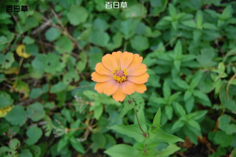 c0108460_16151100.jpg