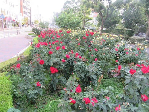 f0113862_21245564.jpg
