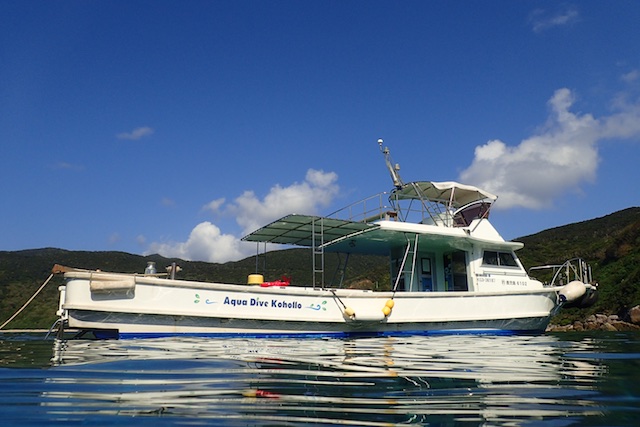 b0062363_18391659.jpg