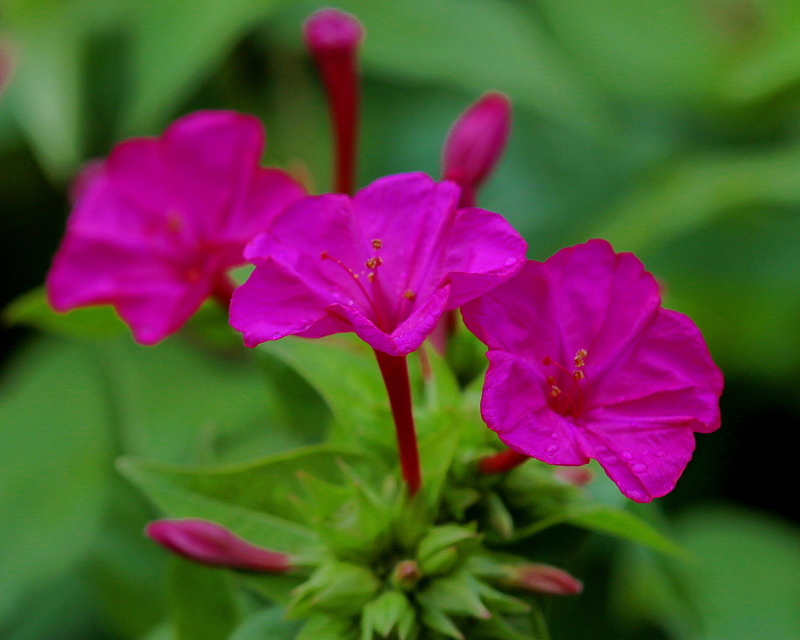 c0305565_17463914.jpg