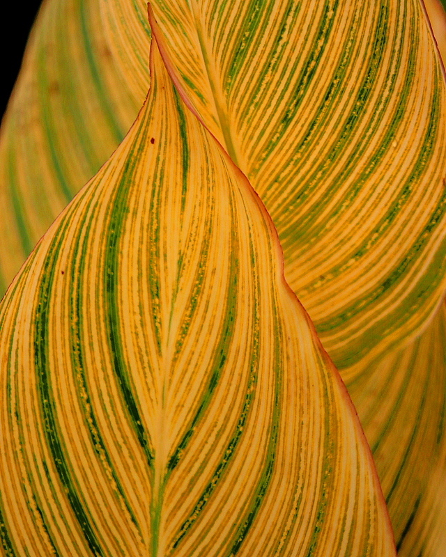 c0305565_17495352.jpg