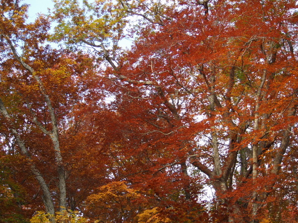 c0321967_08031189.jpg