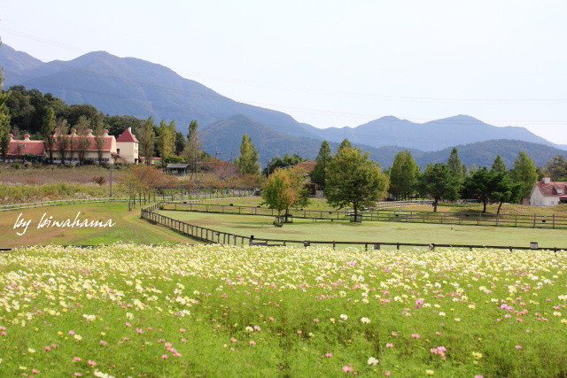 b0055171_11222778.jpg