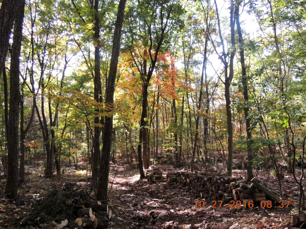 f0104277_20104547.jpg