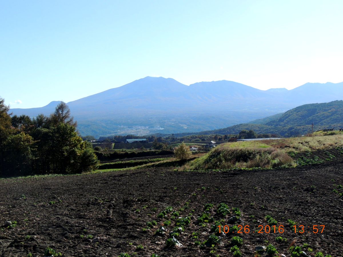 f0104277_2051221.jpg