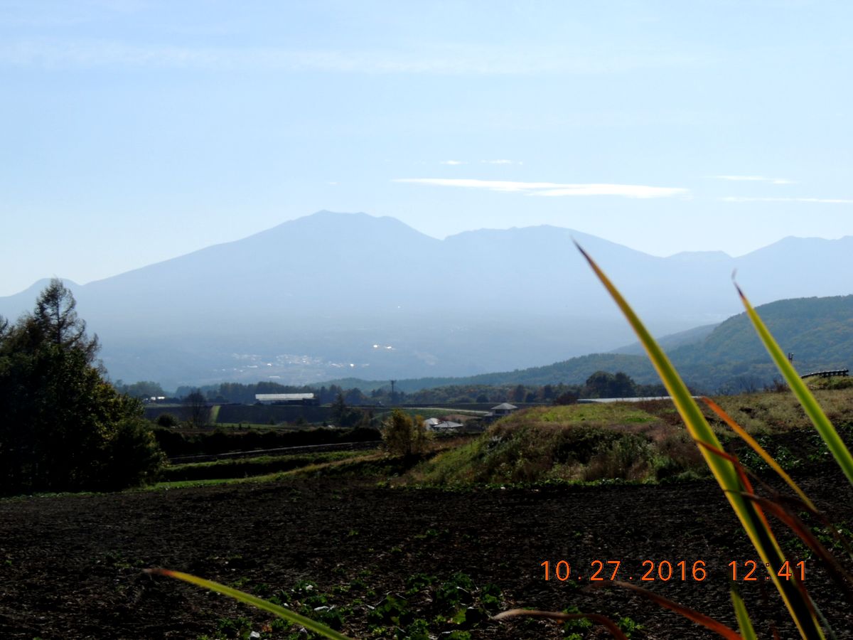 f0104277_209039.jpg